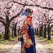 レオナ 桜が満開? PLATINUM