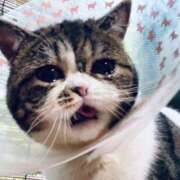 ヒメ日記 2026/04/06 18:26 投稿 レオナ PLATINUM