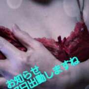 ヒメ日記 2025/02/25 22:36 投稿 滝 熟女の風俗最終章 新横浜店