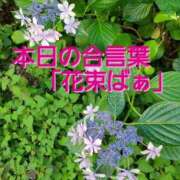ヒメ日記 2025/06/22 10:04 投稿 滝 熟女の風俗最終章 新横浜店