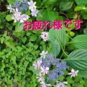 ヒメ日記 2025/06/27 20:52 投稿 滝 熟女の風俗最終章 新横浜店