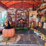 ヒメ日記 2025/10/20 20:27 投稿 滝 熟女の風俗最終章 新横浜店