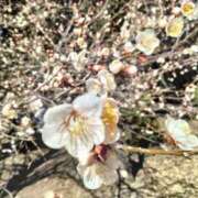 ヒメ日記 2025/02/27 18:49 投稿 麻木 まゆ こあくまな熟女たち伊勢崎店（KOAKUMAグループ）