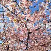 ヒメ日記 2025/03/21 15:39 投稿 麻木 まゆ こあくまな熟女たち伊勢崎店（KOAKUMAグループ）