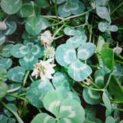 ヒメ日記 2025/06/21 02:23 投稿 麻木 まゆ こあくまな熟女たち伊勢崎店（KOAKUMAグループ）