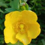 ヒメ日記 2025/06/30 00:17 投稿 麻木 まゆ こあくまな熟女たち伊勢崎店（KOAKUMAグループ）