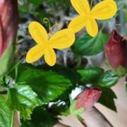 ヒメ日記 2025/08/02 11:56 投稿 麻木 まゆ こあくまな熟女たち伊勢崎店（KOAKUMAグループ）