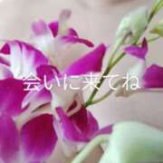 ヒメ日記 2025/08/08 21:52 投稿 麻木 まゆ こあくまな熟女たち伊勢崎店（KOAKUMAグループ）