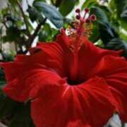 ヒメ日記 2026/02/27 07:09 投稿 麻木 まゆ こあくまな熟女たち伊勢崎店（KOAKUMAグループ）