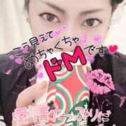 ヒメ日記 2024/12/14 14:31 投稿 きよら 所沢東村山ちゃんこ