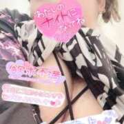 ヒメ日記 2024/12/15 14:07 投稿 きよら 所沢東村山ちゃんこ