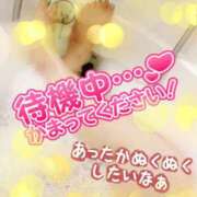 ヒメ日記 2024/12/15 16:53 投稿 きよら 所沢東村山ちゃんこ