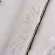 ヒメ日記 2024/12/19 09:56 投稿 きよら 所沢東村山ちゃんこ