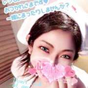 ヒメ日記 2024/12/22 14:03 投稿 きよら 所沢東村山ちゃんこ