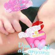 ヒメ日記 2025/01/25 10:40 投稿 きよら 所沢東村山ちゃんこ