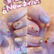 ヒメ日記 2025/01/27 19:48 投稿 きよら 所沢東村山ちゃんこ