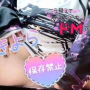 ヒメ日記 2025/02/12 02:15 投稿 きよら 所沢東村山ちゃんこ