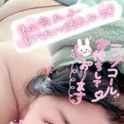 ヒメ日記 2025/02/12 14:45 投稿 きよら 所沢東村山ちゃんこ