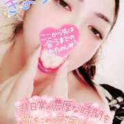 ヒメ日記 2025/02/13 09:53 投稿 きよら 所沢東村山ちゃんこ