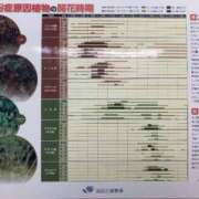 ヒメ日記 2025/02/22 11:30 投稿 きよら 所沢東村山ちゃんこ
