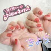 ヒメ日記 2025/02/23 13:21 投稿 きよら 所沢東村山ちゃんこ