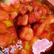 ヒメ日記 2025/02/23 19:11 投稿 きよら 所沢東村山ちゃんこ