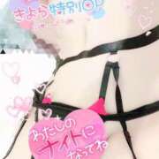 ヒメ日記 2025/03/02 02:53 投稿 きよら 所沢東村山ちゃんこ