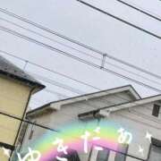 ヒメ日記 2025/03/03 15:33 投稿 きよら 所沢東村山ちゃんこ