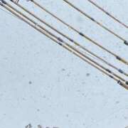 ヒメ日記 2025/03/19 09:56 投稿 きよら 所沢東村山ちゃんこ