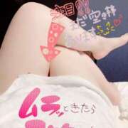 ヒメ日記 2025/03/20 02:27 投稿 きよら 所沢東村山ちゃんこ