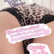 ヒメ日記 2025/03/29 10:05 投稿 きよら 所沢東村山ちゃんこ