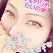 ヒメ日記 2025/04/01 09:38 投稿 きよら 所沢東村山ちゃんこ