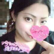 ヒメ日記 2025/04/01 18:58 投稿 きよら 所沢東村山ちゃんこ