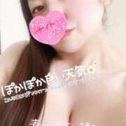 ヒメ日記 2025/04/19 10:30 投稿 きよら 所沢東村山ちゃんこ