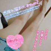 ヒメ日記 2025/05/13 10:37 投稿 きよら 所沢東村山ちゃんこ