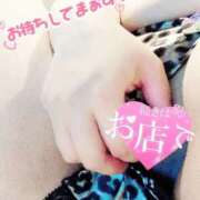 ヒメ日記 2025/07/21 20:37 投稿 きよら 所沢東村山ちゃんこ