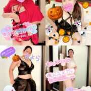 ヒメ日記 2025/10/31 17:35 投稿 きよら 所沢東村山ちゃんこ