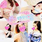 ヒメ日記 2025/11/16 14:25 投稿 きよら 所沢東村山ちゃんこ