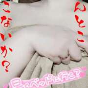 ヒメ日記 2025/12/21 12:52 投稿 きよら 所沢東村山ちゃんこ