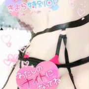 ヒメ日記 2026/01/29 10:33 投稿 きよら 所沢東村山ちゃんこ