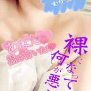 ヒメ日記 2026/02/12 14:27 投稿 きよら 所沢東村山ちゃんこ