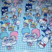 ヒメ日記 2026/04/30 19:47 投稿 きよら 所沢東村山ちゃんこ