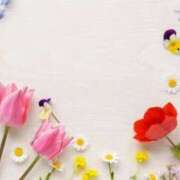 ヒメ日記 2025/02/20 07:48 投稿 みゆな 厚木人妻城