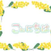 ヒメ日記 2025/03/09 13:27 投稿 みゆな 厚木人妻城