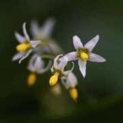 ヒメ日記 2025/03/12 09:18 投稿 みゆな 厚木人妻城