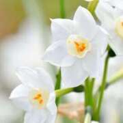 ヒメ日記 2025/03/12 10:33 投稿 みゆな 厚木人妻城