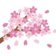 ヒメ日記 2025/03/23 10:12 投稿 みゆな 厚木人妻城