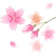 ヒメ日記 2025/03/28 10:48 投稿 みゆな 厚木人妻城