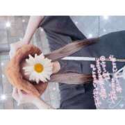 ヒメ日記 2025/08/25 14:48 投稿 りな カクテル(岡山)