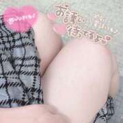 ヒメ日記 2024/12/11 14:44 投稿 まろん 蒼いうさぎ